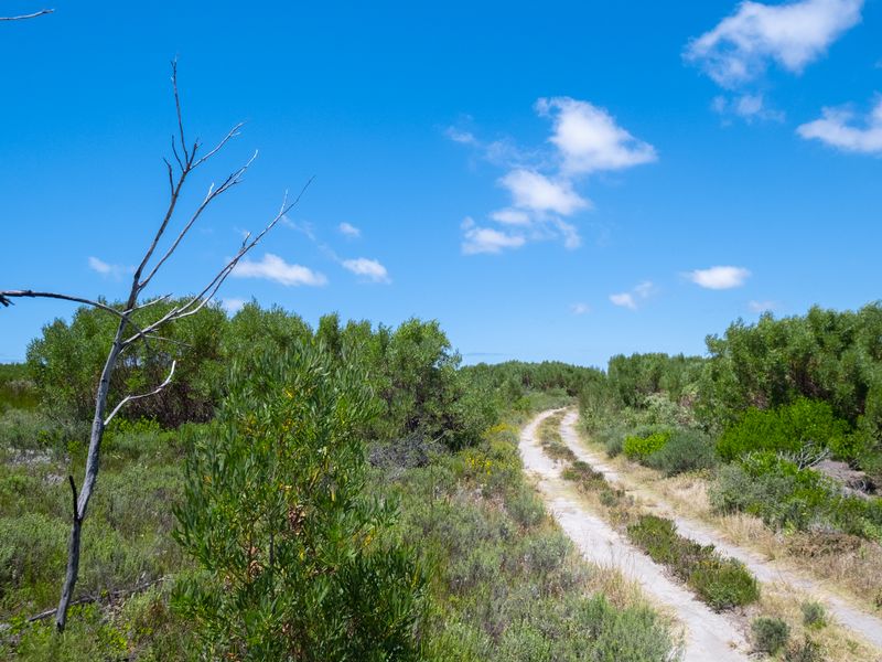 Lifestyle estate - Vacant Land in Struisbaai - Photo 5