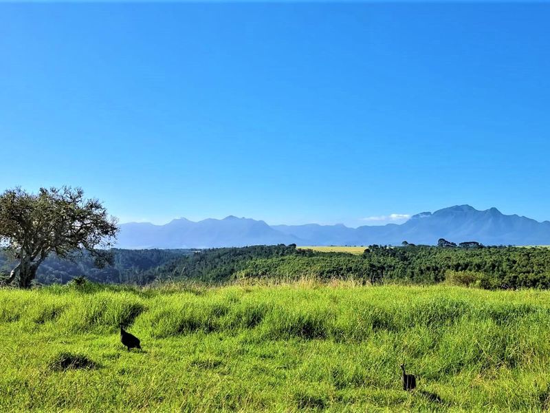 Vacant Land for sale in Oubaai, George - Photo 3