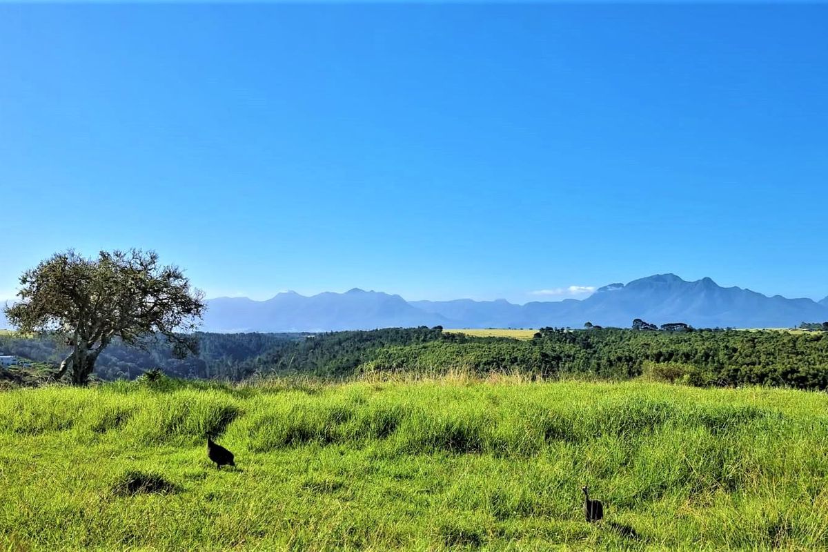 Vacant Land for sale in Oubaai, George - Photo 3