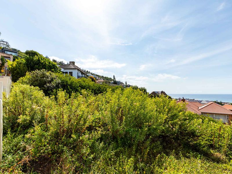 A scenic view overlooking a residential hillside with lush vegetation and a distant ocean horizon.