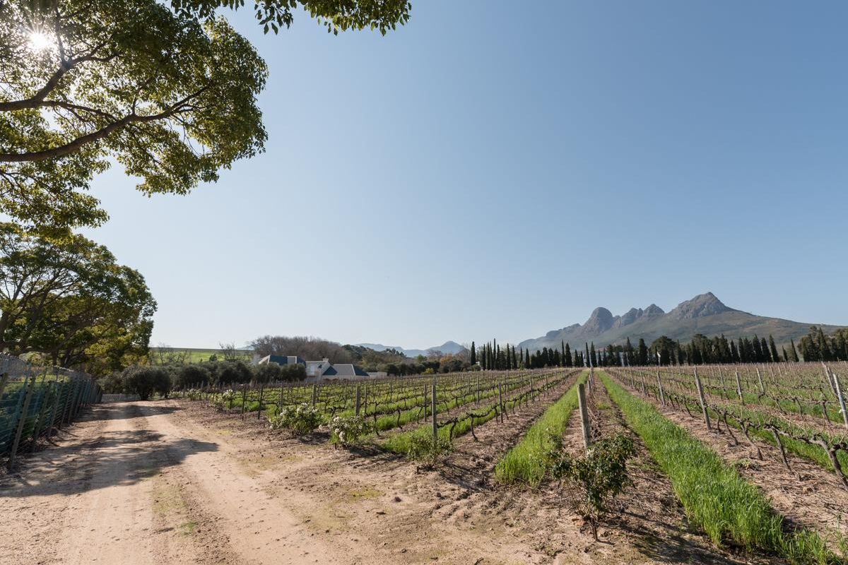 Farm For Sale in Stellenbosch Farms, Stellenbosch, Western Cape - Photo 2