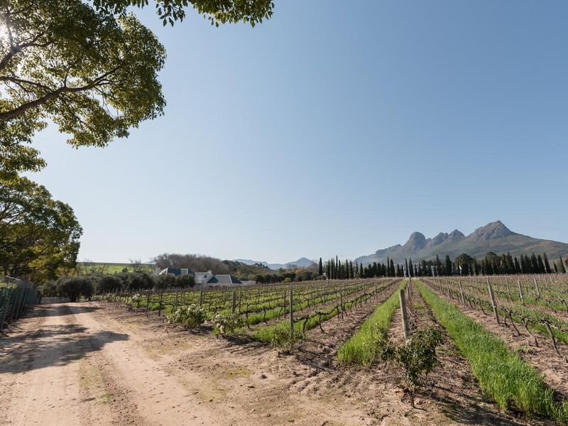 Farm For Sale in Stellenbosch Farms, Stellenbosch, Western Cape - Photo 2