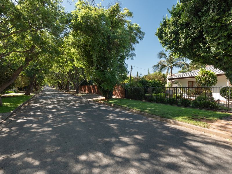The Luxury Of Space - A Family Home With Granny Flat In Sought After Tree-Lined Street - Photo 6