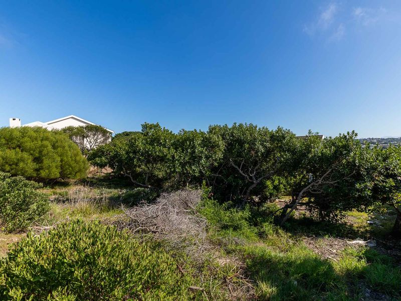 Vacant Land For Sale in Stilbaai Wes, Stilbaai, Western Cape - Photo 8