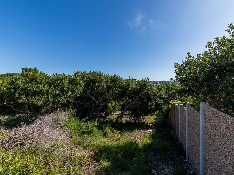 Vacant Land For Sale in Stilbaai Wes, Stilbaai, Western Cape - Photo 6