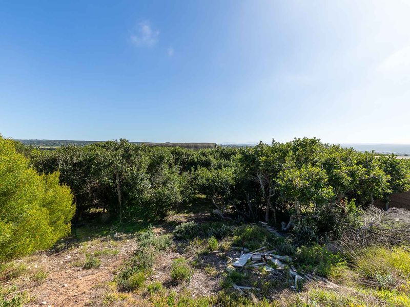 Vacant Land For Sale in Stilbaai Wes, Stilbaai, Western Cape - Photo 4