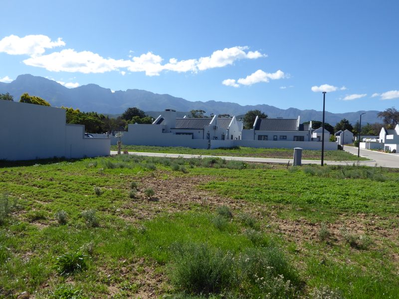 Build Your Dream or Retirement Home Here! - Photo 9