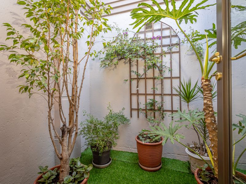 A private, enclosed courtyard area featuring artificial turf flooring and a decorative wall-mounted trellis.