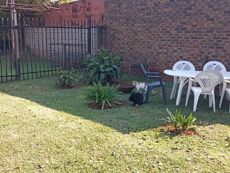 Come and discover this spacious family home nestled in the well-established suburb of Valhalla, Cent - Photo 4