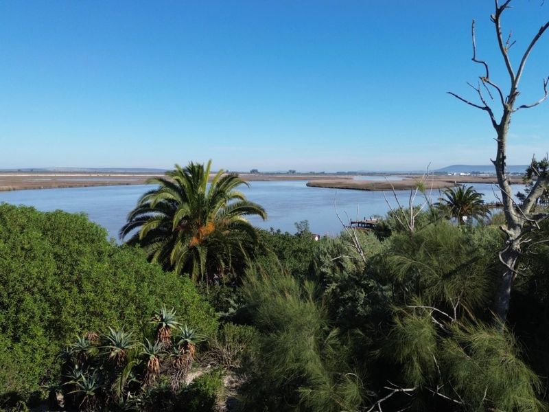 Prime Waterfront Location In Velddrif - Photo 7