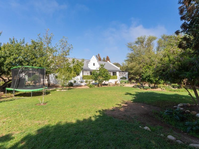 Timeless Family Living in the Heart of McGregor - Photo 8