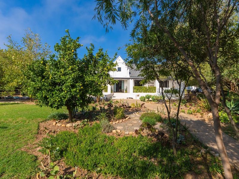 Timeless Family Living in the Heart of McGregor - Photo 7