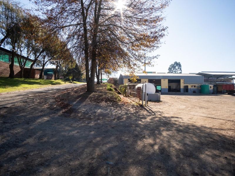 Industrial Property - Photo 2
