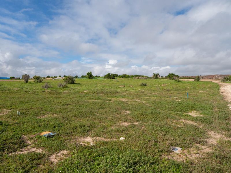Saint Lauren Drive - Photo 1