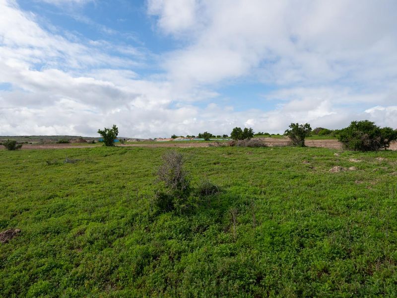Saint Lauren Drive - Photo 6