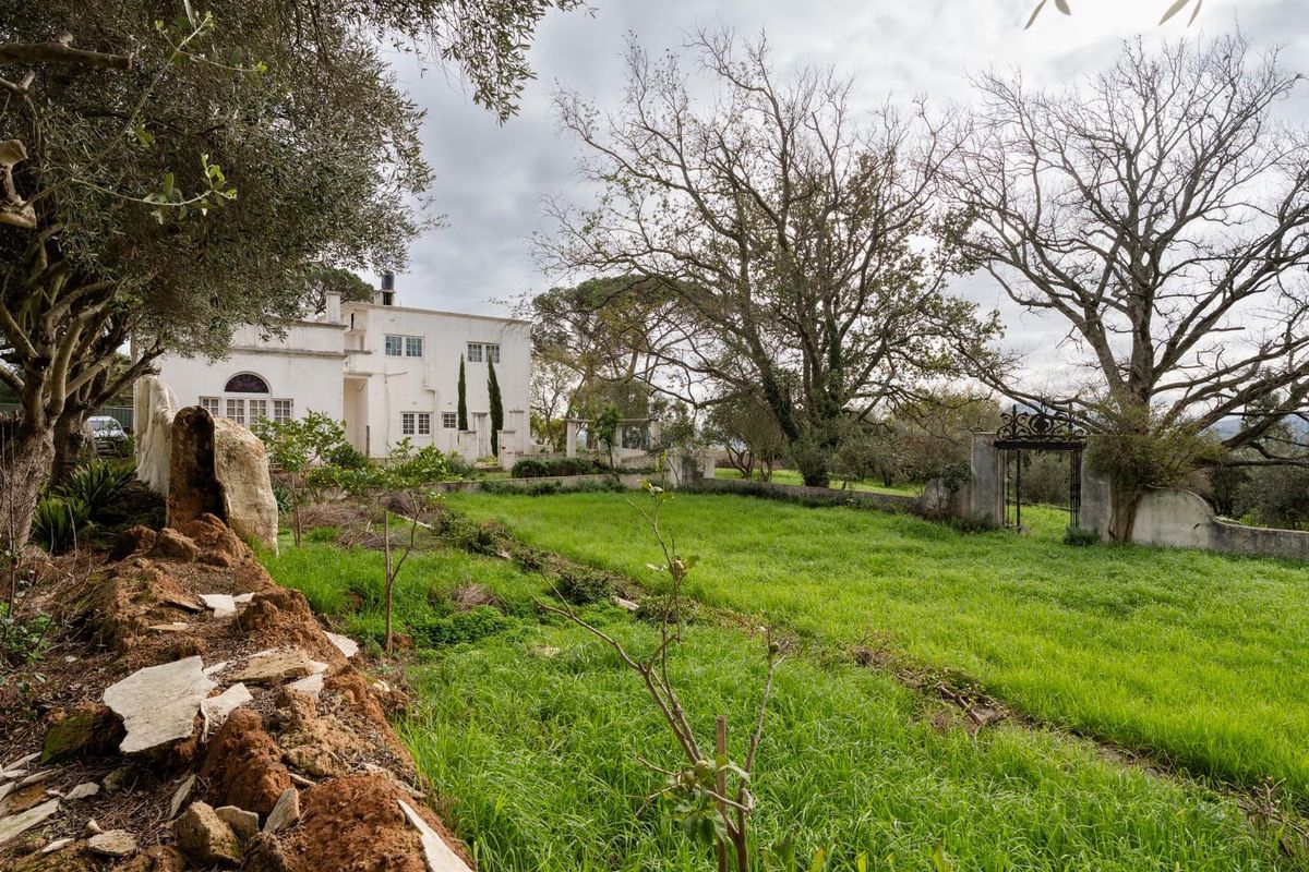 Exceptional 5.14-Hectare Estate: A Canvas for Luxury Development in Stellenbosch! - Photo 3