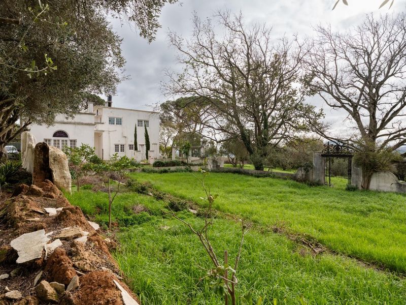 Exceptional 5.14-Hectare Estate: A Canvas for Luxury Development in Stellenbosch! - Photo 3