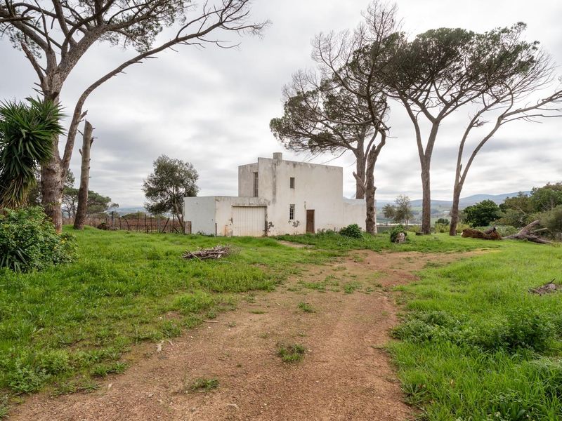 Exceptional 5.14-Hectare Estate: A Canvas for Luxury Development in Stellenbosch! - Photo 10