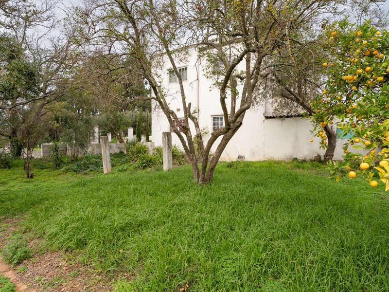 Exceptional 5.14-Hectare Estate: A Canvas for Luxury Development in Stellenbosch! - Photo 7