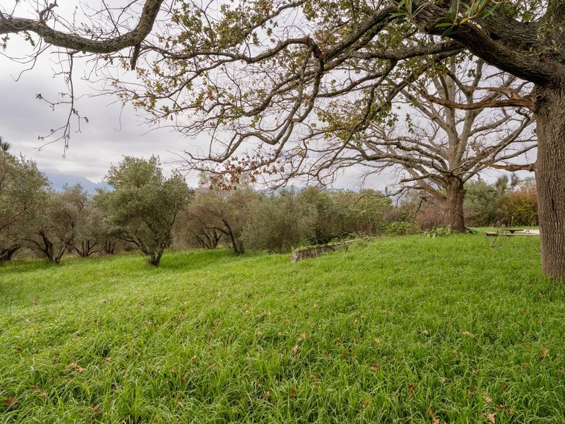 Exceptional 5.14-Hectare Estate: A Canvas for Luxury Development in Stellenbosch! - Photo 9