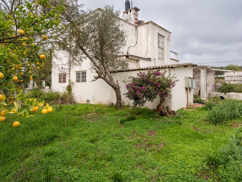 Exceptional 5.14-Hectare Estate: A Canvas for Luxury Development in Stellenbosch! - Photo 6
