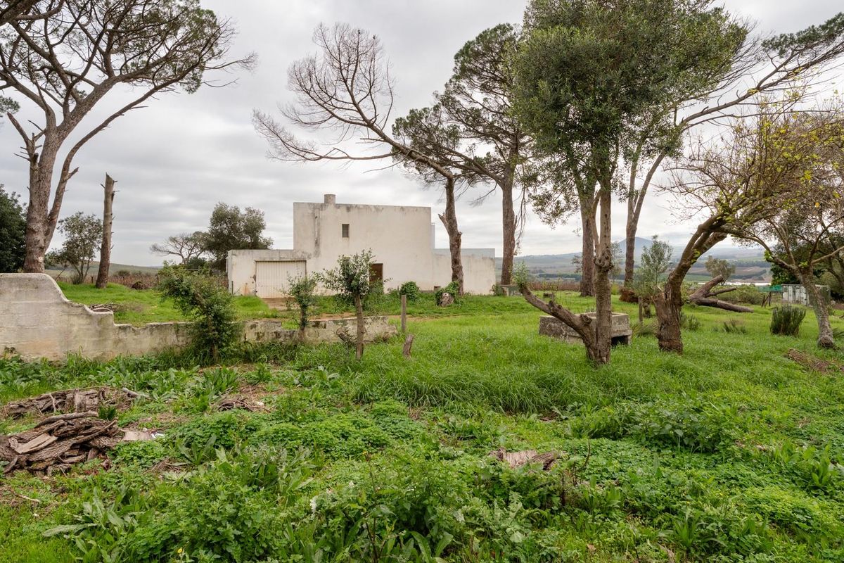 Exceptional 5.14-Hectare Estate: A Canvas for Luxury Development in Stellenbosch! - Photo 5