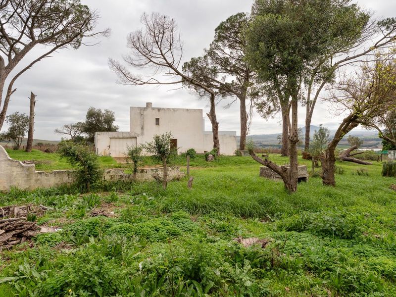 Exceptional 5.14-Hectare Estate: A Canvas for Luxury Development in Stellenbosch! - Photo 5