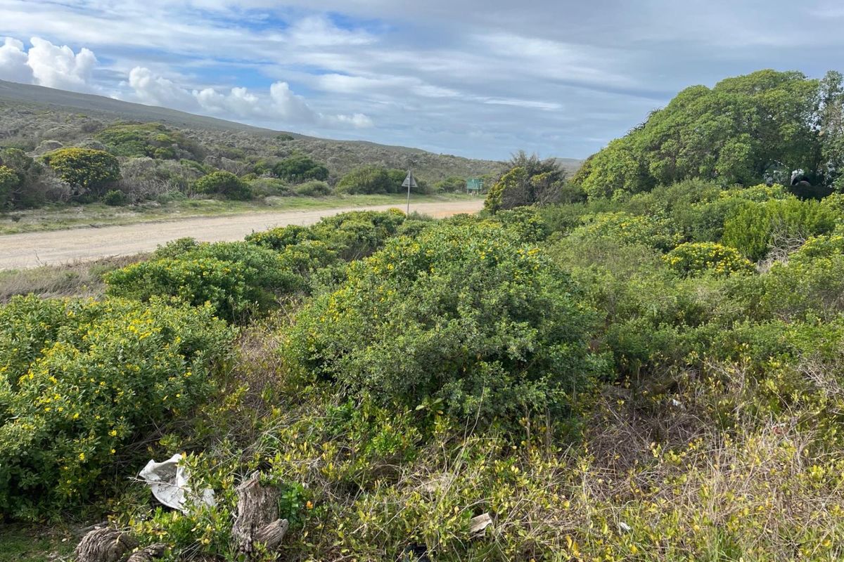Vacant Land for sale - Photo 4