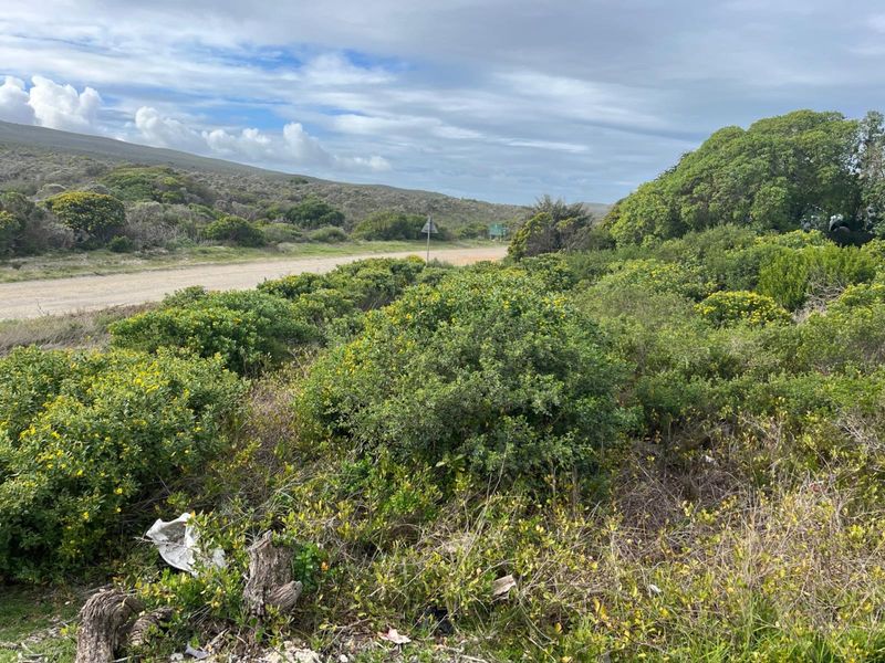 Vacant Land for sale - Photo 4