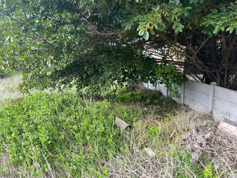 Vacant Land for sale - Photo 8