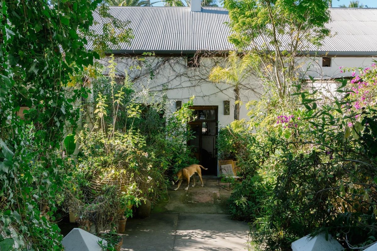 A charming rear exterior view of a cottage-style home featuring a corrugated metal roof and a pathway leading to the entrance through lush gardens.