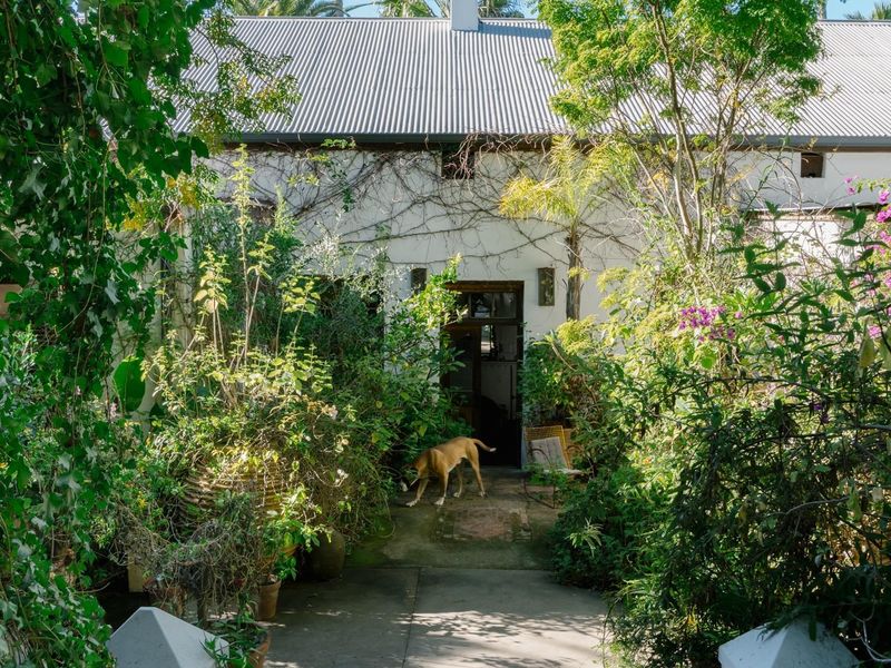 A charming rear exterior view of a cottage-style home featuring a corrugated metal roof and a pathway leading to the entrance through lush gardens.