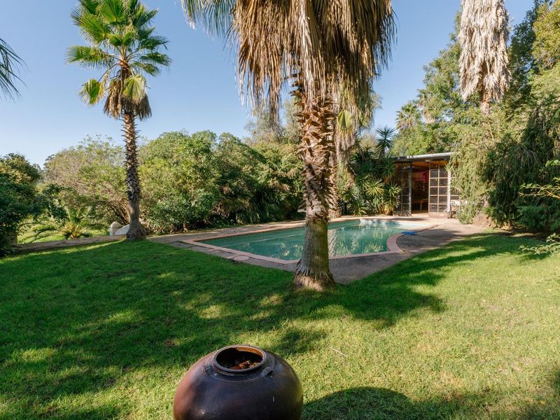 A private backyard featuring a swimming pool surrounded by established palm trees and lush garden landscaping.