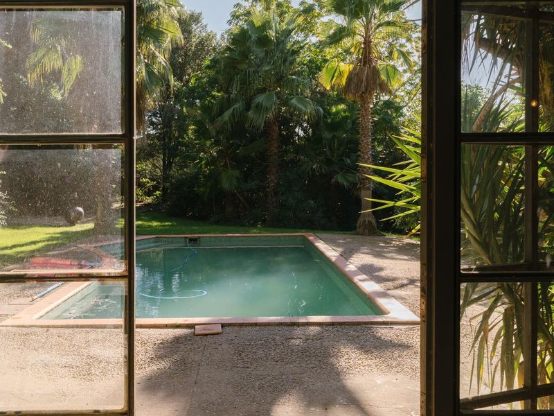 View from an interior space looking out onto a private swimming pool and lush garden area with mature palm trees.