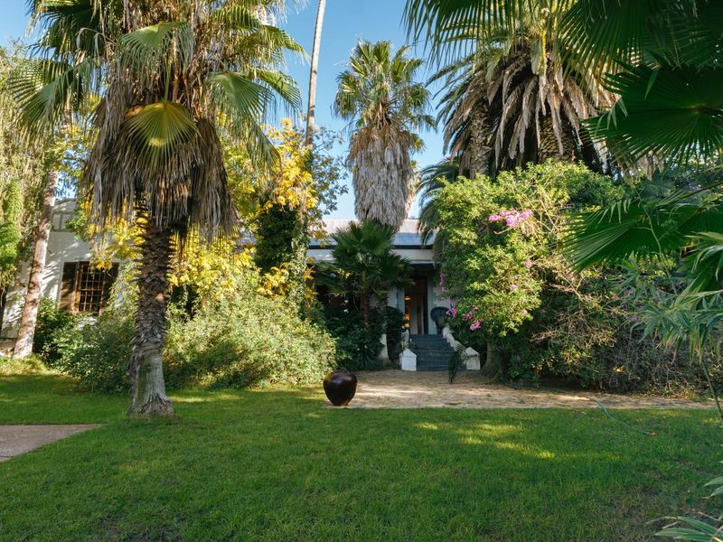A lush, landscaped garden featuring mature palm trees and established greenery, providing a private and serene outdoor setting for the property.