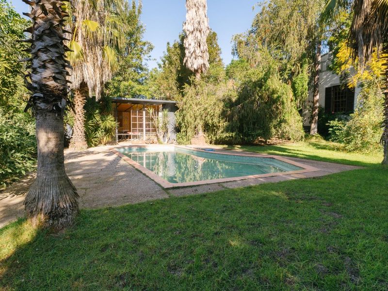A private backyard featuring a rectangular swimming pool, paved surround, and established garden with mature palm trees and lush greenery.