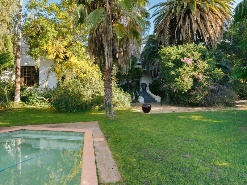 A lush, mature garden featuring a swimming pool, established palm trees, and a pathway leading to the main residence.