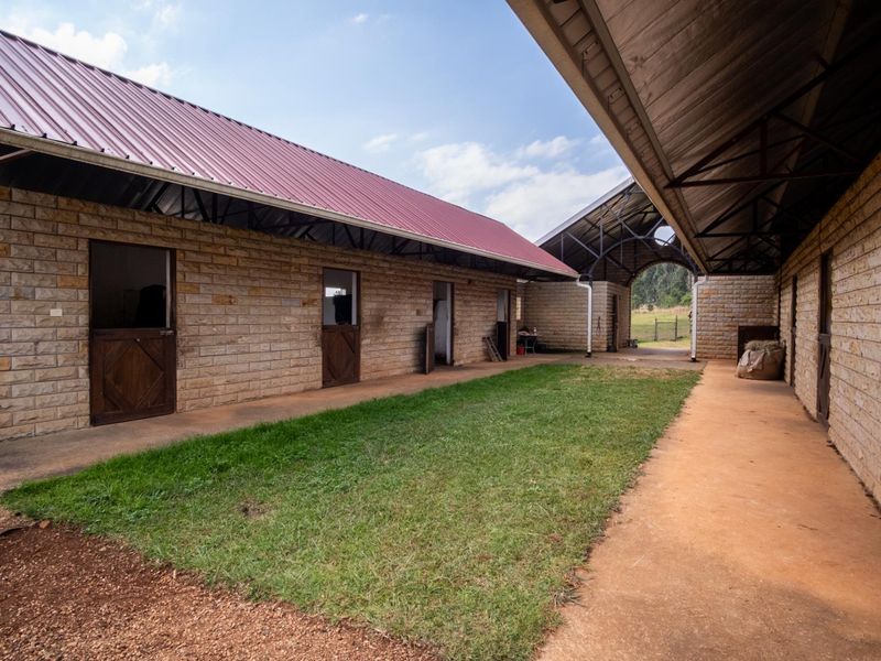 A Landmark Equestrian Estate Where Luxury, Lifestyle and Freedom Meet. - Photo 10