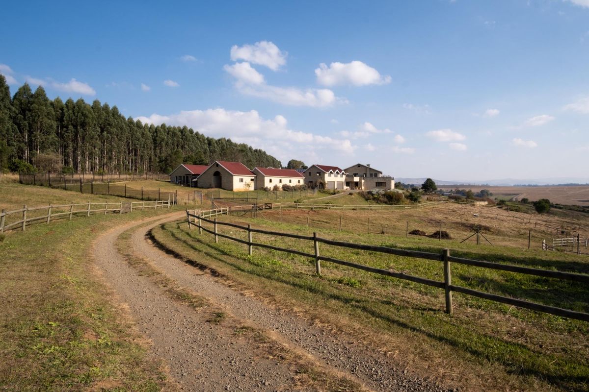 A Landmark Equestrian Estate Where Luxury, Lifestyle and Freedom Meet. - Photo 4