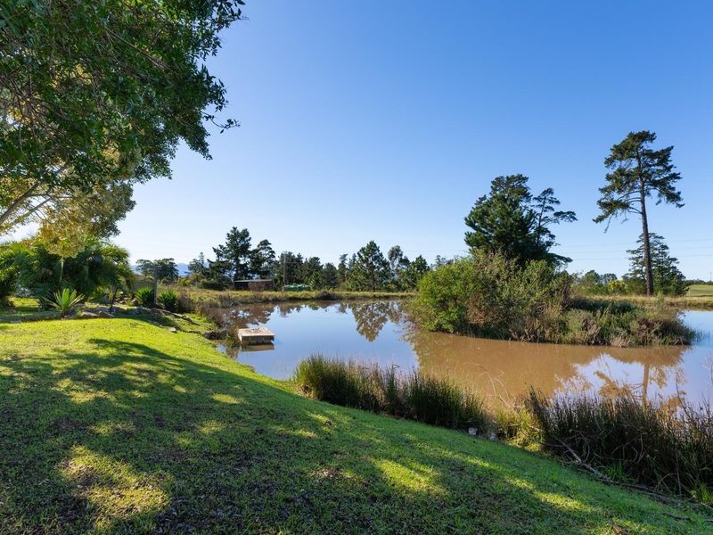 Smallholding close to Plettenberg Bay - Photo 3