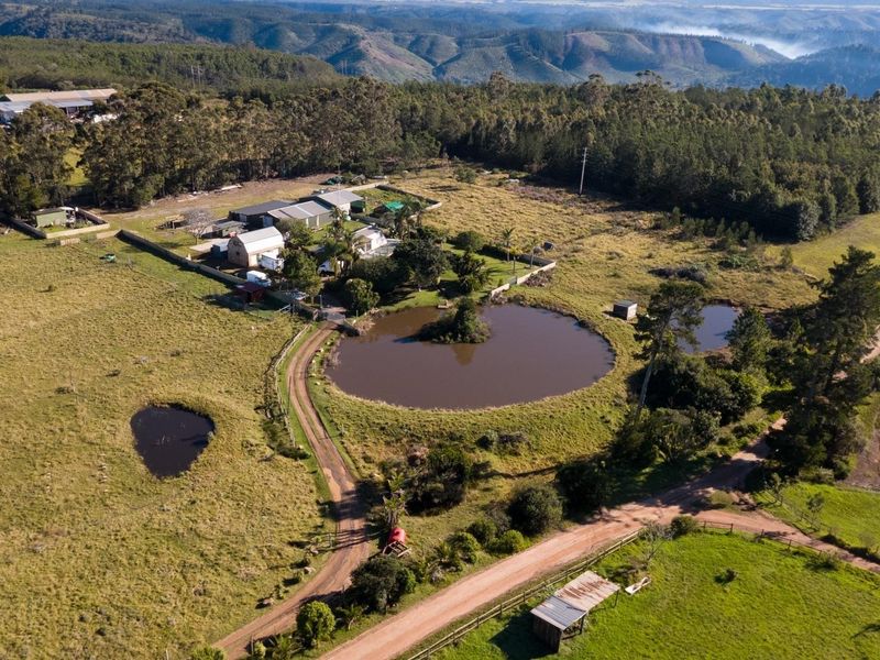 Smallholding close to Plettenberg Bay - Photo 1
