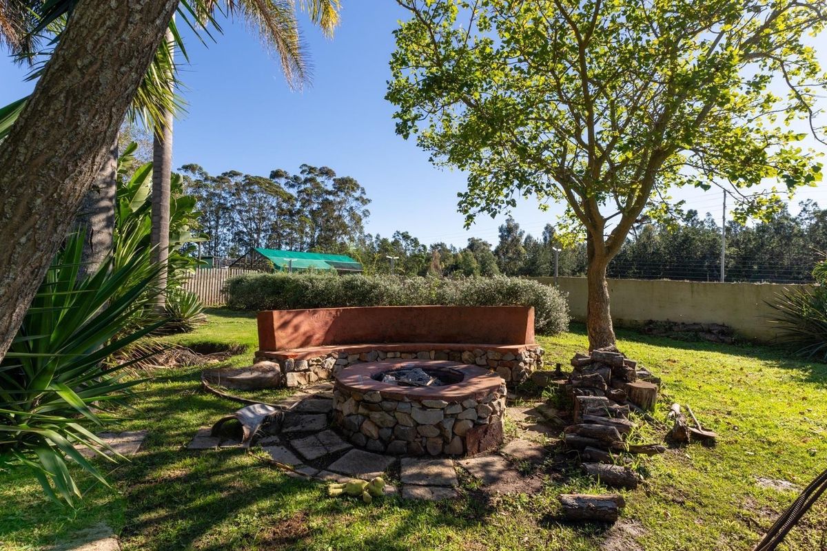 Smallholding close to Plettenberg Bay - Photo 4
