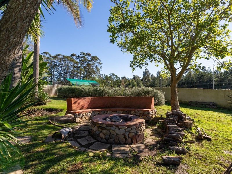 Smallholding close to Plettenberg Bay - Photo 4