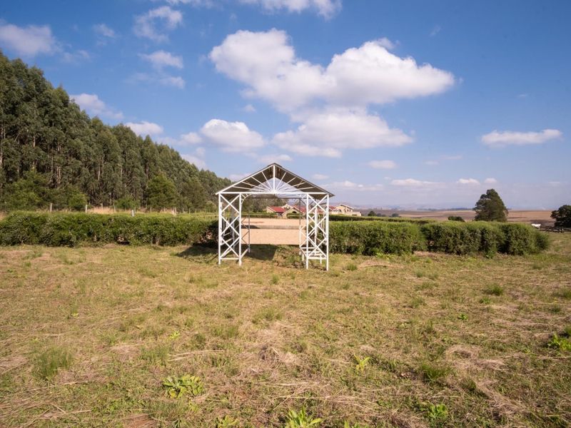 Hectare Vacant Land in Exclusive Castle View Estate - Photo 9