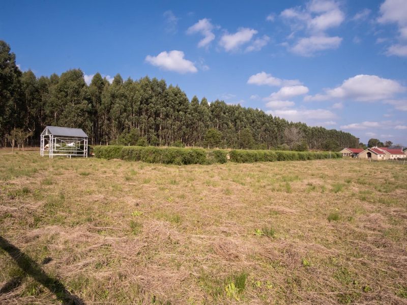 Hectare Vacant Land in Exclusive Castle View Estate - Photo 8