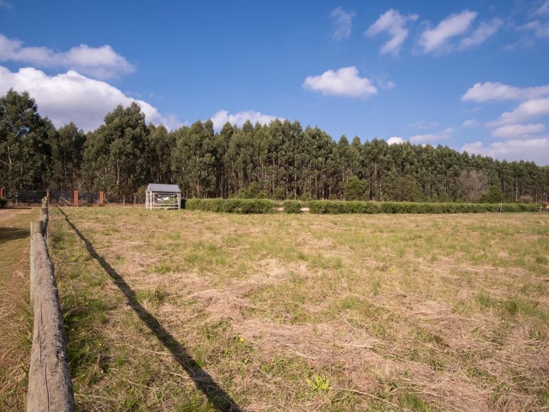 Hectare Vacant Land in Exclusive Castle View Estate - Photo 6