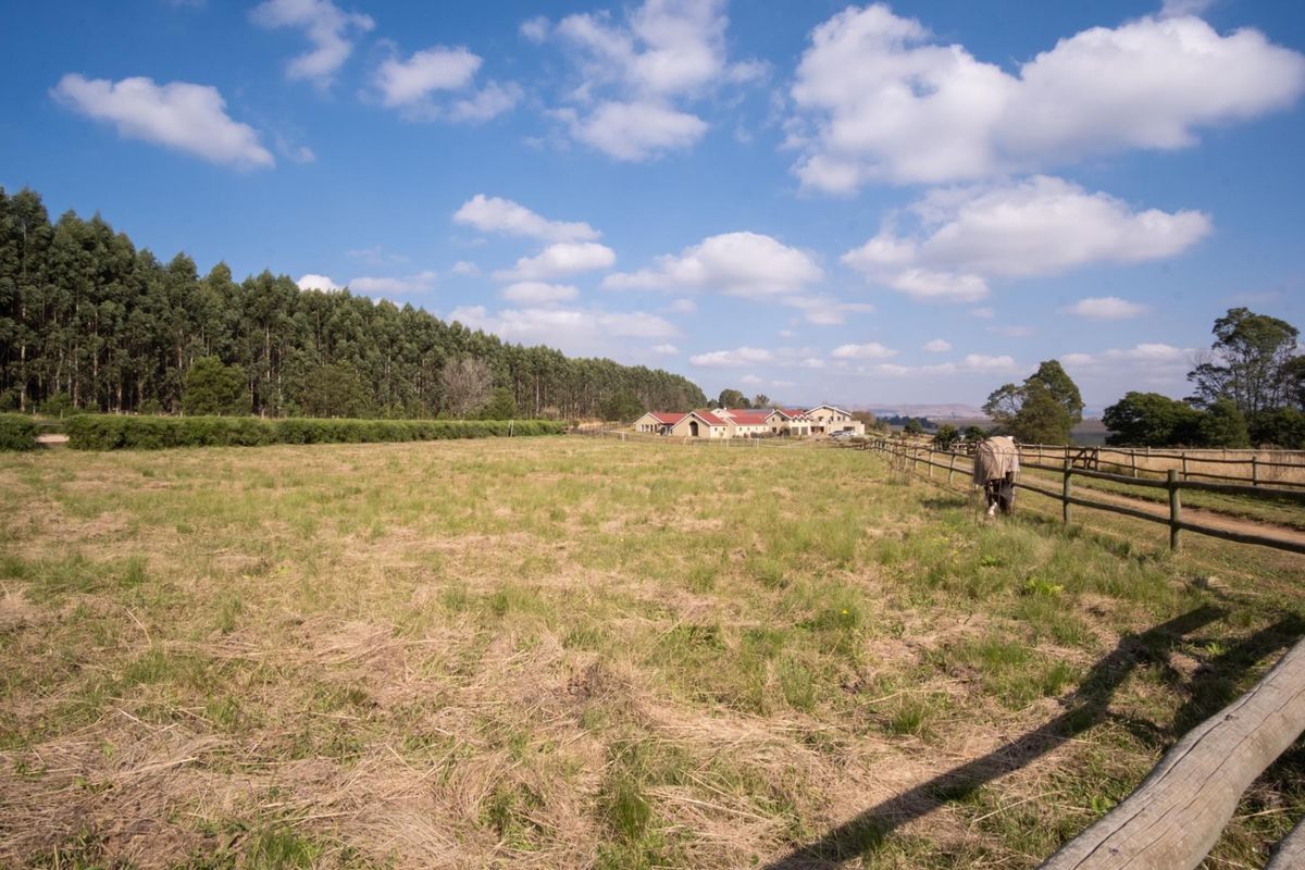 Hectare Vacant Land in Exclusive Castle View Estate - Photo 4