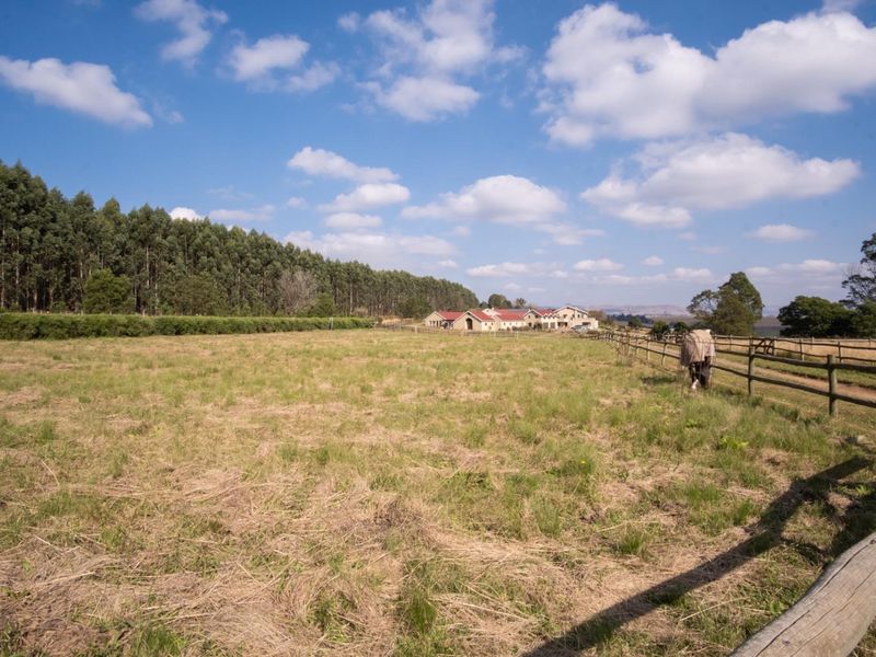 Hectare Vacant Land in Exclusive Castle View Estate - Photo 4