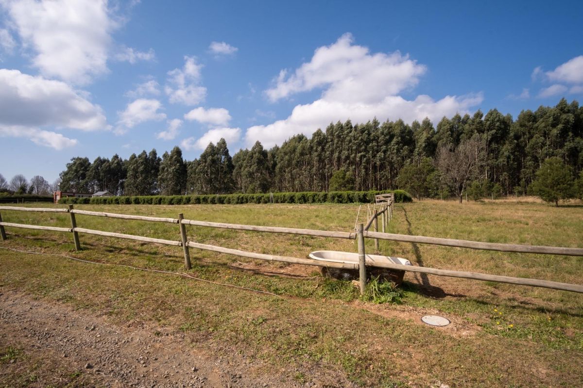 Hectare Vacant Land in Exclusive Castle View Estate - Photo 3