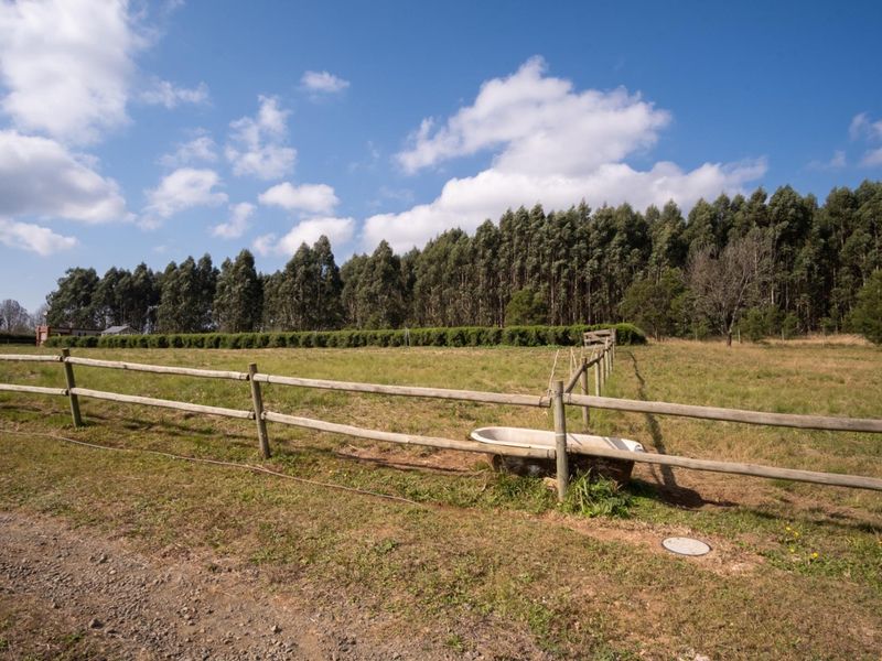 Hectare Vacant Land in Exclusive Castle View Estate - Photo 3
